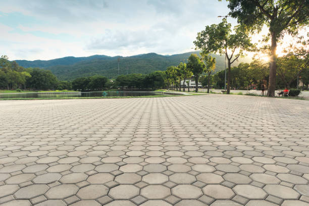 Best Residential Paver Driveway  in Callaway, FL